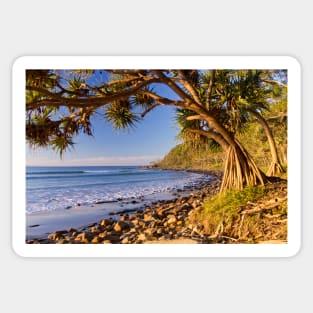 Noosa National Park, Queensland Sticker